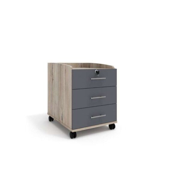 Euro 25mm Mobile Pedestal